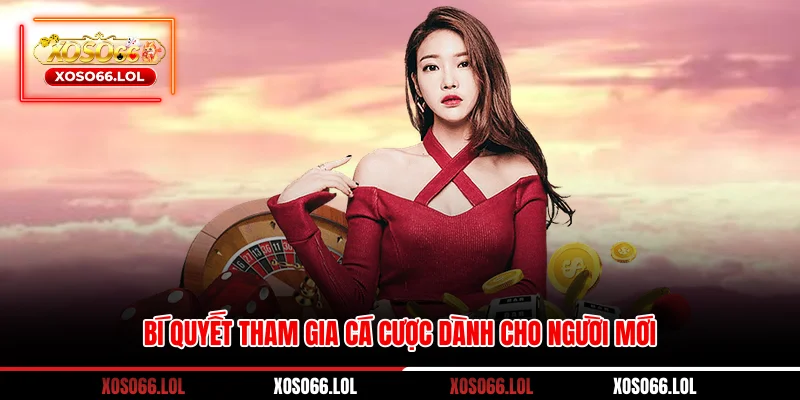 Bí quyết tham gia cá cược dành cho người mới