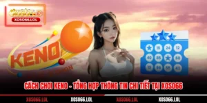 Cách Chơi Keno - Tổng Hợp Thông Tin Chi Tiết Tại Xoso66