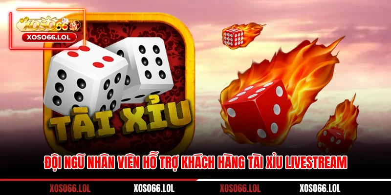 Đội ngũ nhân viên hỗ trợ khách hàng tài xỉu livestream