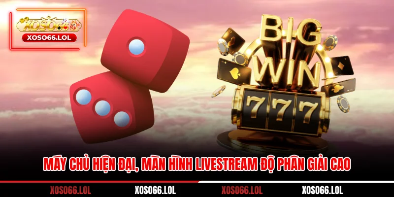 Máy chủ hiện đại, màn hình livestream độ phân giải cao