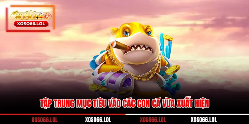 Tập trung mục tiêu vào các con cá vừa xuất hiện