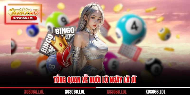 Tổng quan về nuôi lô ngày là gì