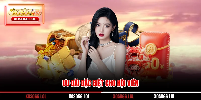Ưu đãi đặc biệt cho hội viên