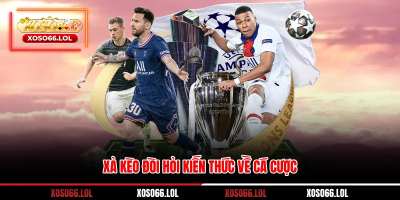 Xả kèo đòi hỏi kiến thức về cá cược